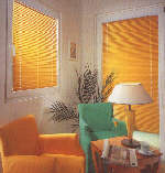 venetian blinds